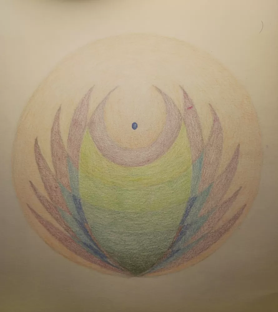 The practice